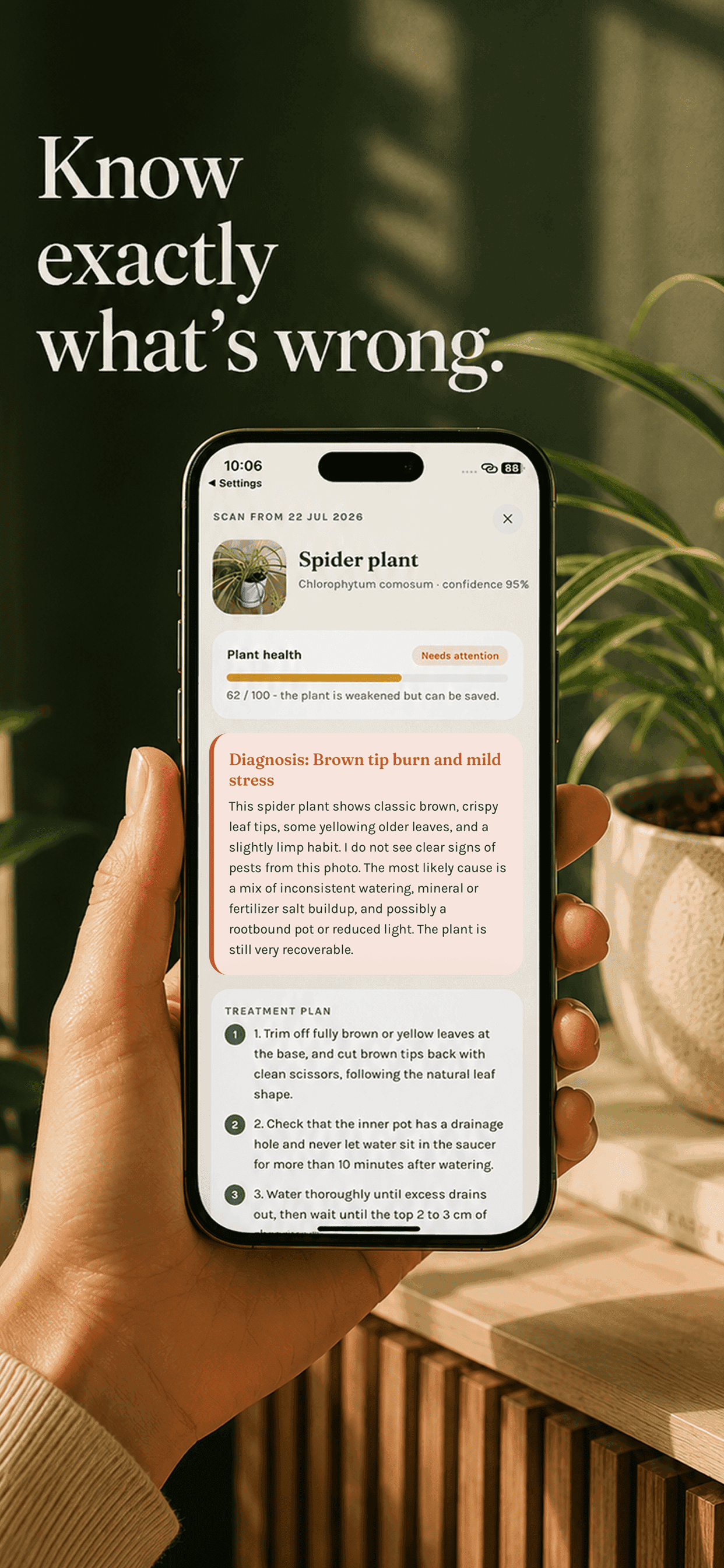 The Gardenix app showing a diagnosis for a spider plant, with a health score and the likely cause